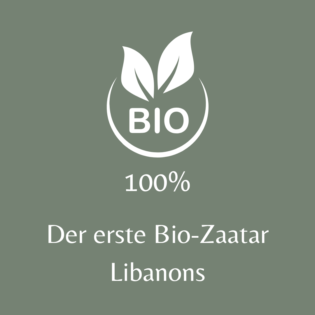 100% Bio-Icon: Zwei stilisierte Blätter über dem Schriftzug 'BIO', umgeben von einem Kreis, auf grünem Hintergrund. Nachhaltigkeit und Bio-Qualität bei Honeydew
