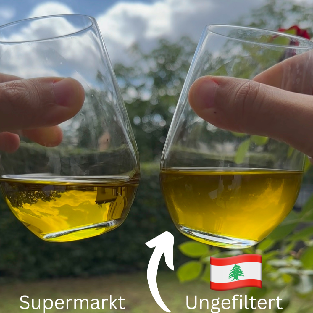 Vergleich von Olivenöl: Links klares Supermarkt-Olivenöl, rechts ungefiltertes libanesisches natives Olivenöl extra mit intensiver goldener Farbe, dargestellt in zwei Gläsern im Sonnenlicht.